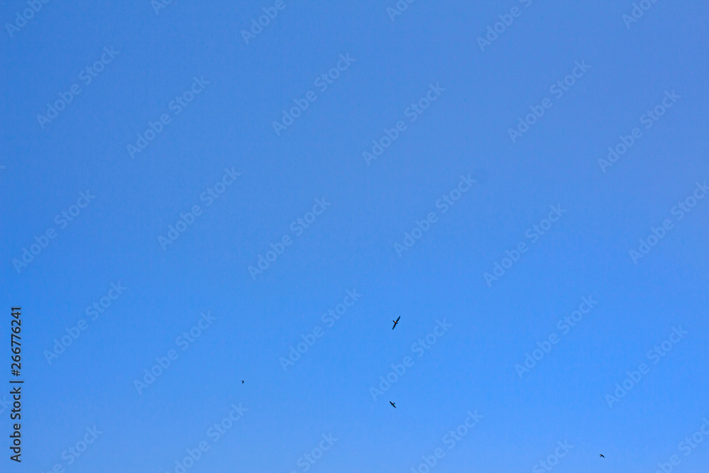 Background sky,Bright in Phuket Thailand Background sky,Bright in Phuket Thailand