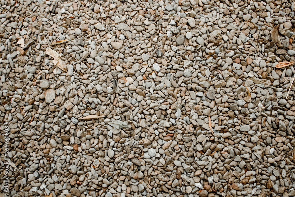 Pebble stone texture. Little round stones in different colors. Pebble stone texture. Little round stones in different colors.