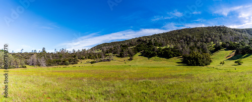 Panorama of Meadow in Mountains