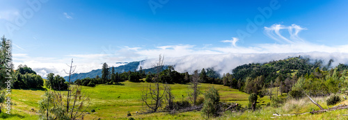 Fog Over Mountains and Meadow