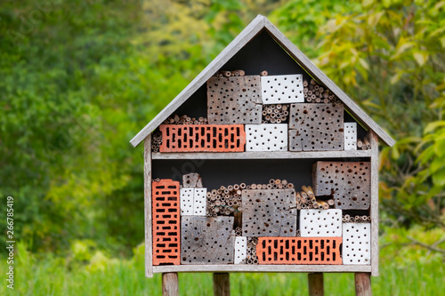 insect hotel in a green garden, insect house © dropStock