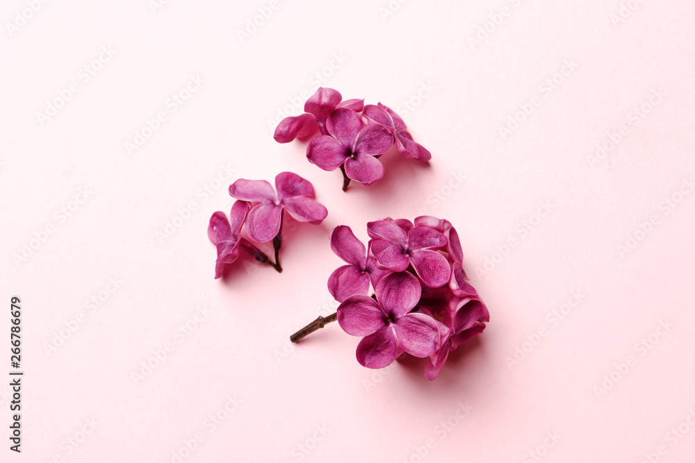 Flat lay top view photo of spring lilac flowers. lilac flowers bouquet on lilac background. top view with copy space Flat lay top view photo of spring lilac flowers. lilac flowers bouquet on lilac background. top view with copy space