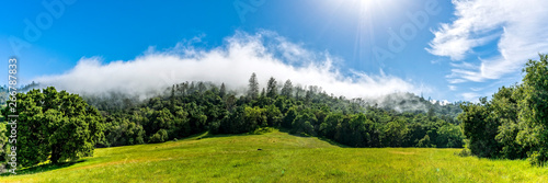 Panoramic photo of Fog coming over Mountains and Trees