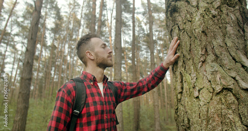 Young bearded backpacked man dressed in red checked shirt touches old pine tree in the forest