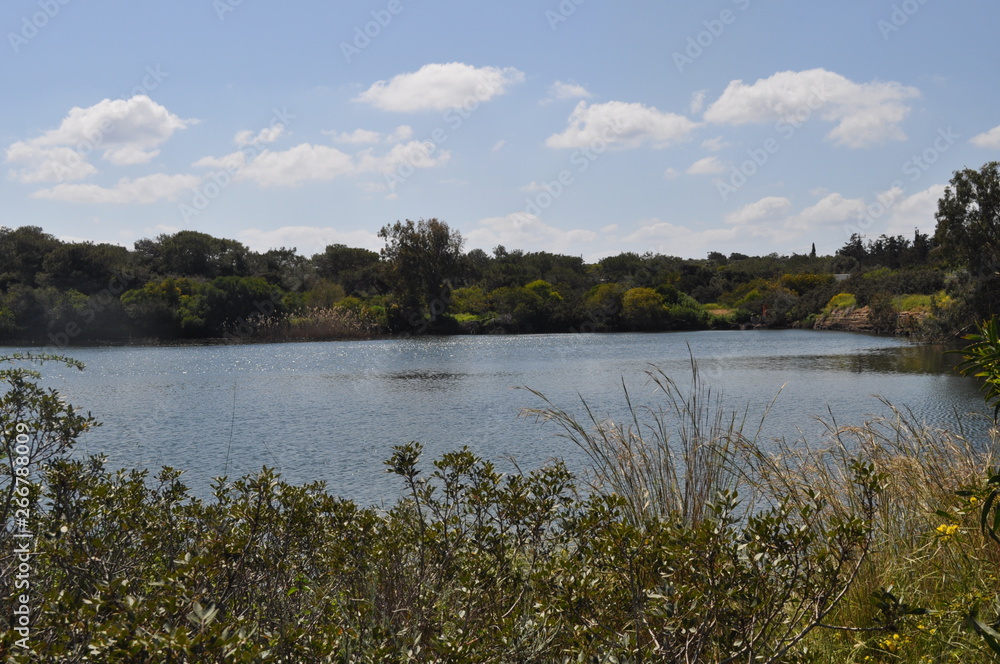The beautiful natural Wetland landscape in Cyprus The beautiful natural Wetland landscape in Cyprus
