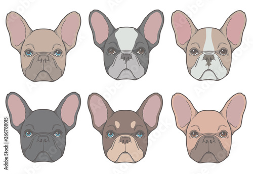 Vector drawings of French Bulldog dog heads with different fur colors and patterns like fawn, black pied, red and tan
