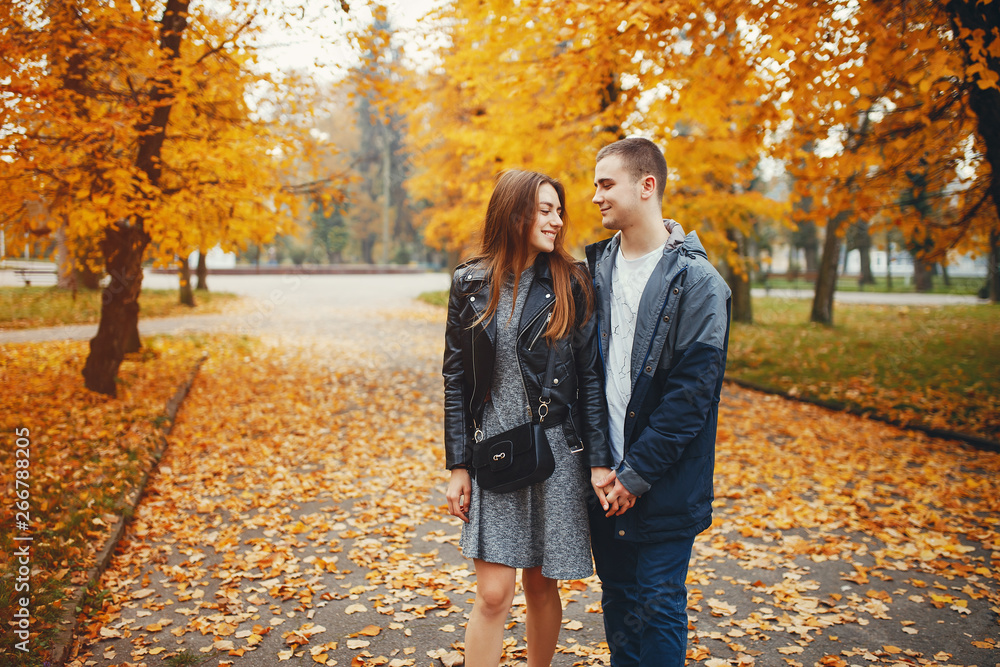 Cute couple walking in a autumn park. Boy in a black jacket. Girl in a gray dress Cute couple walking in a autumn park. Boy in a black jacket. Girl in a gray dress