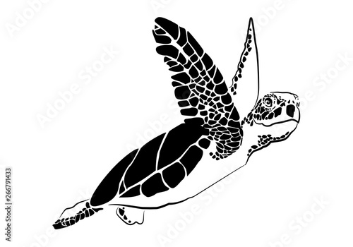 graphic sea turtle,vector illustration of sea turtle
