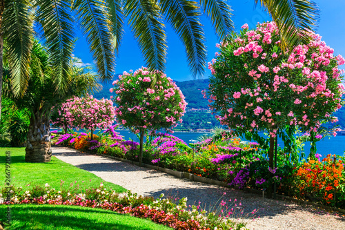 Beautiful gardens of famous italian lake Lago mggiore. "Isola madre". northen Italy, Lombardia