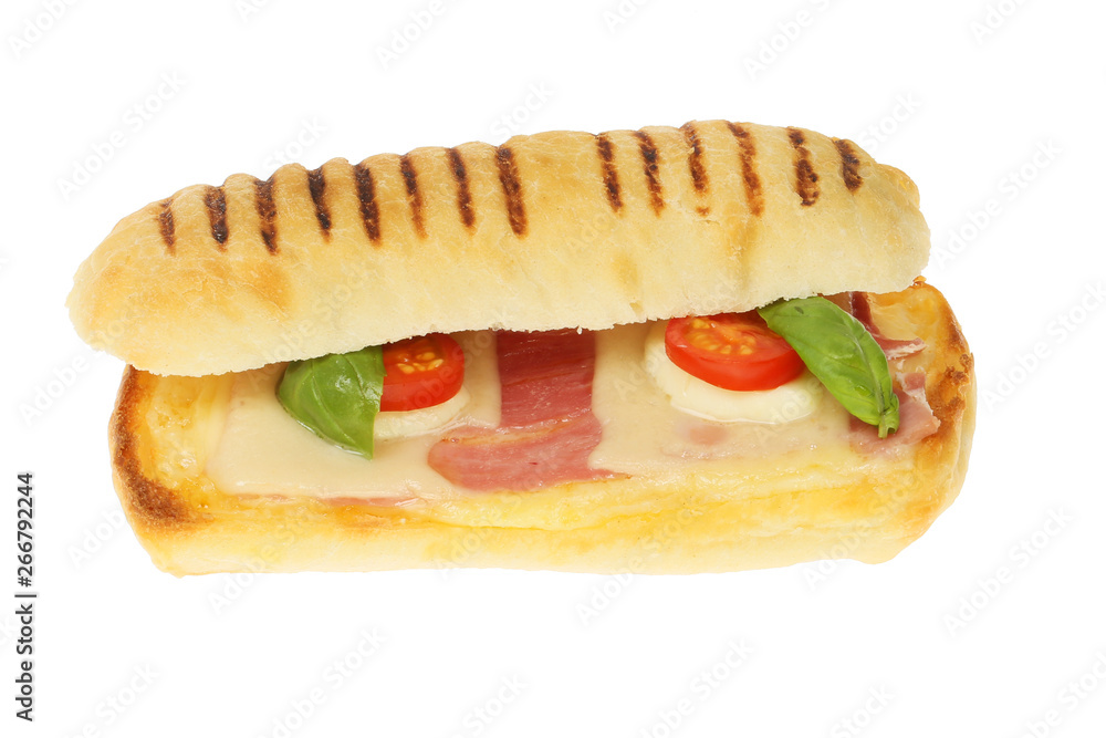 Panini sandwich isolated Panini sandwich isolated