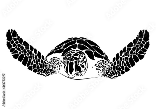 graphic sea turtle,vector illustration of sea turtle