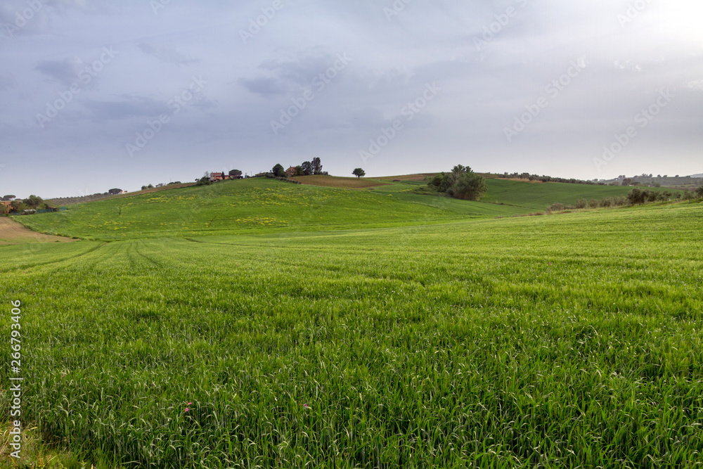 Magliano in Toscana, Grosseto Magliano in Toscana, Grosseto