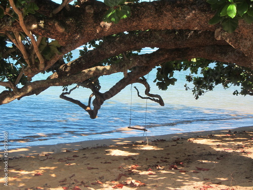 Tree Swing / Beach Swing Anini Beach Kauai Hawaii photo