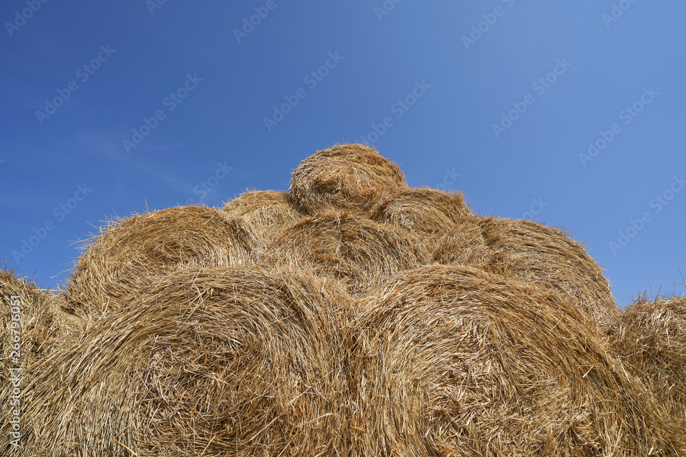 Big haystack from round bales laid in the form of a pyramid against the blue sky Big haystack from round bales laid in the form of a pyramid against the blue sky