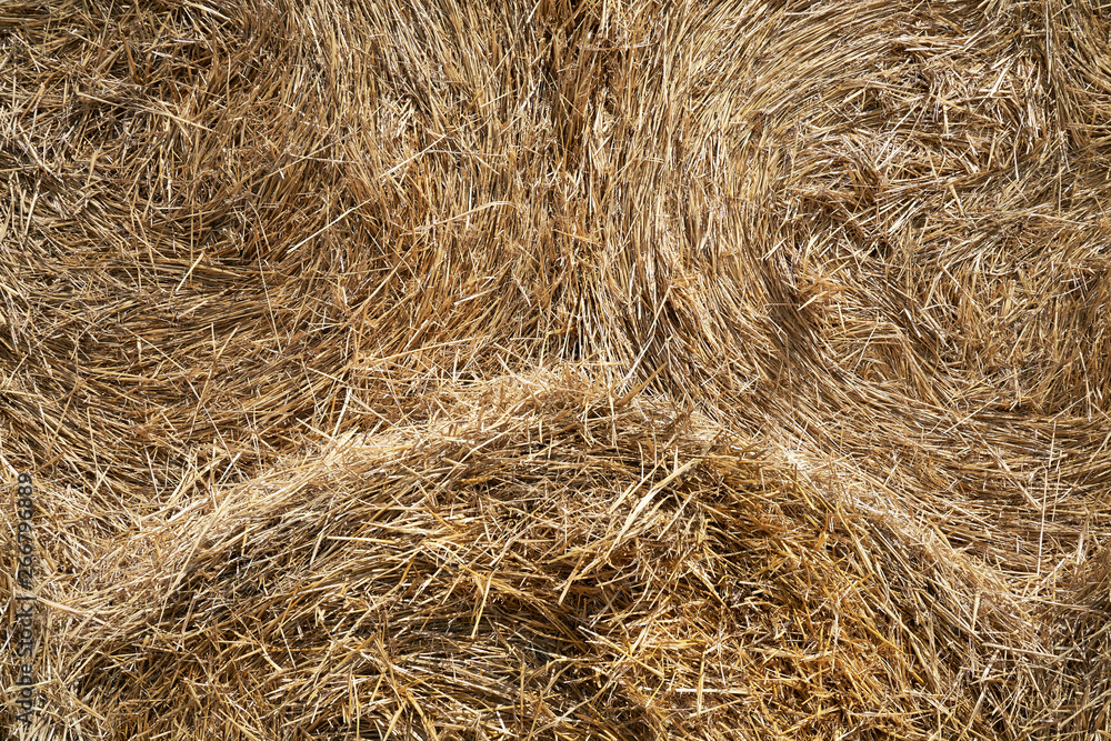 Texture of haystacks from round bales on a sunny day. Close-up Texture of haystacks from round bales on a sunny day. Close-up