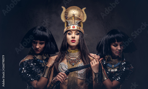 Portrait of haughty Egyptia...