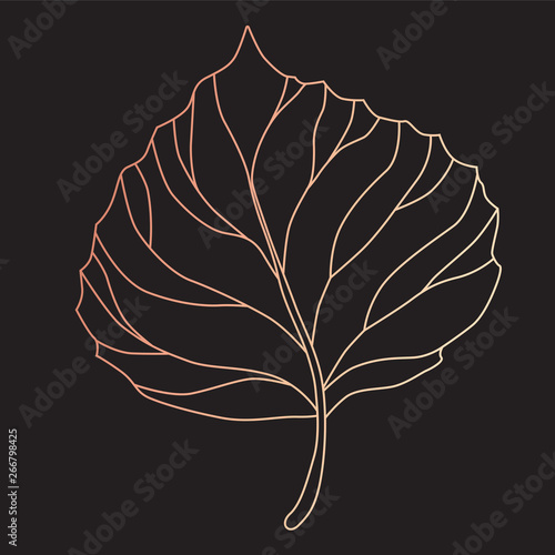 Print line sketch tree leaf vector illustration