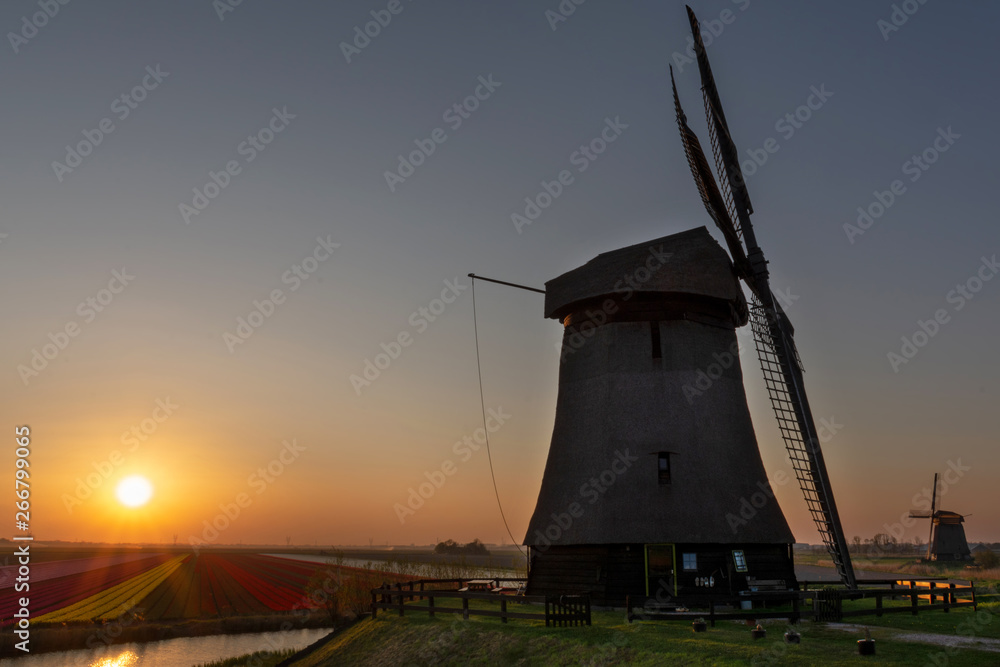 Windmills in Schermerhorn, The Netherlands, at sunset - obrazy, fototapety, plakaty 