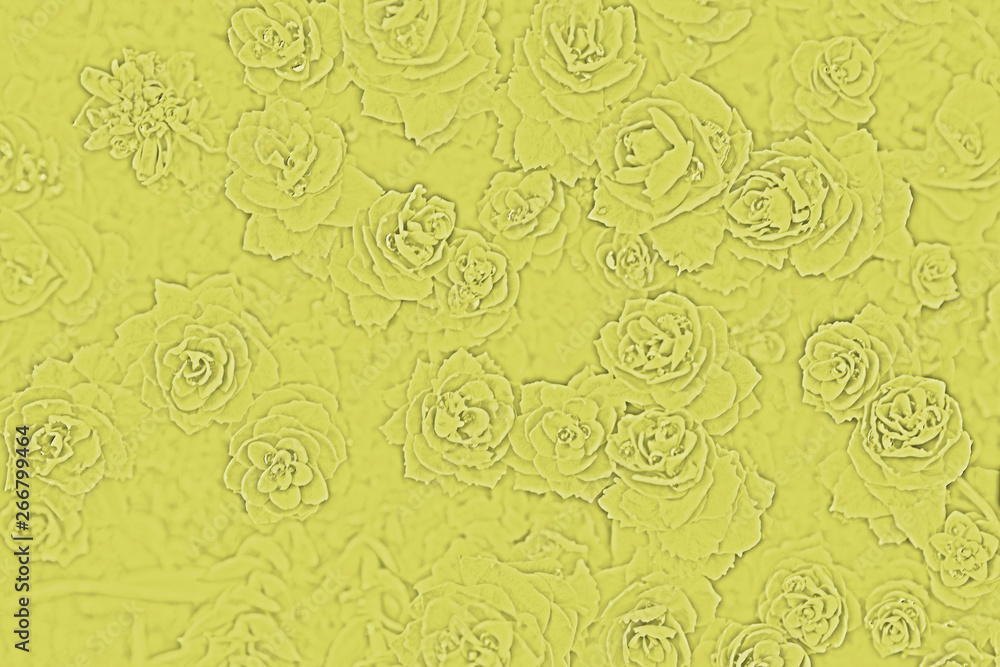 Solid yellow background with the texture of the flower Rhodiola Rosea Solid yellow background with the texture of the flower Rhodiola Rosea