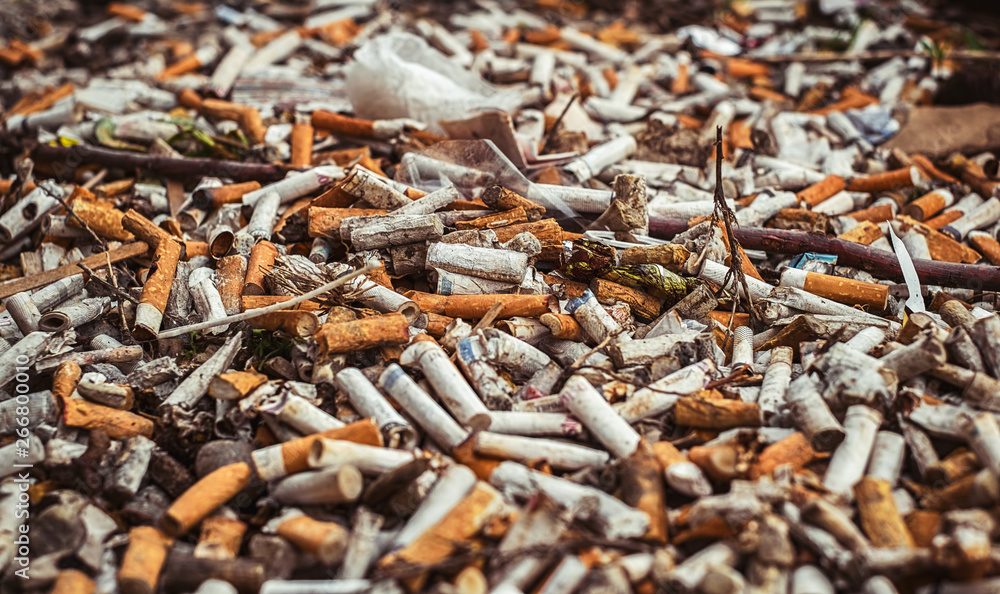 a lot of burnt cigarette butts a lot of burnt cigarette butts