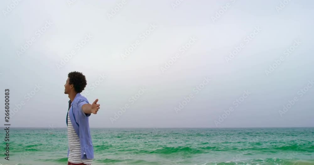 Rear view of African American man standing with arms outstretched on the beach 4k Rear view of African American man standing with arms outstretched on the beach 4k