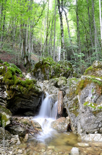 Waterfall in a forest near Bad Ischl in the Salzkammergut region, Austria