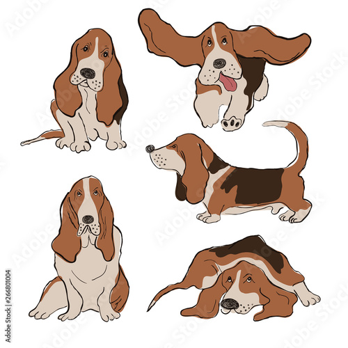 Collection Of Basset Hound Dog Icons.