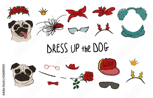 Pug Dog Couple Portraits With Accessories