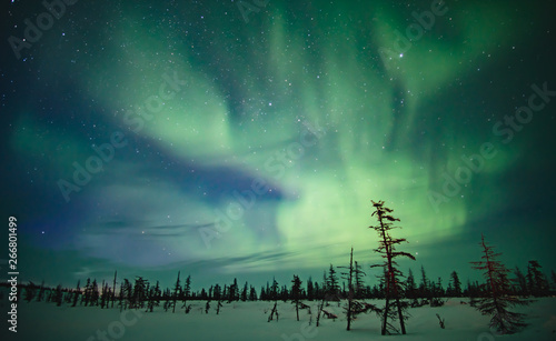 Fabulous sky in the Russian Arctic in winter photo