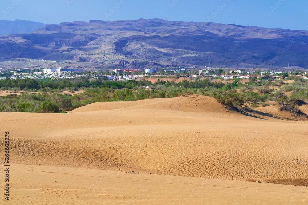 Sand Dunes on Grand Canary