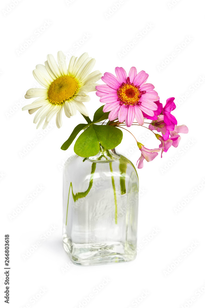 Spring flowers in vase isolated on white background