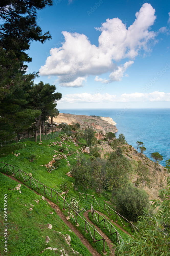 Spectacular view of italian pines mountain and sea