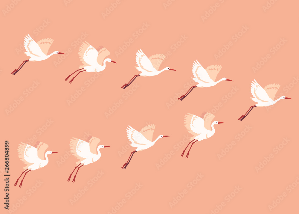 Vector hand drawn white crane birds set Vector hand drawn white crane birds set