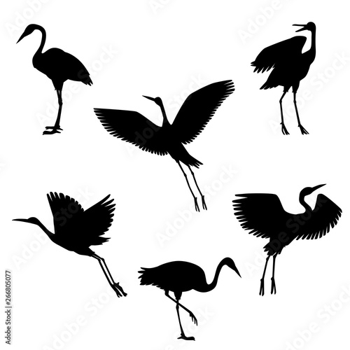 Vector hand drawn black crane birds set