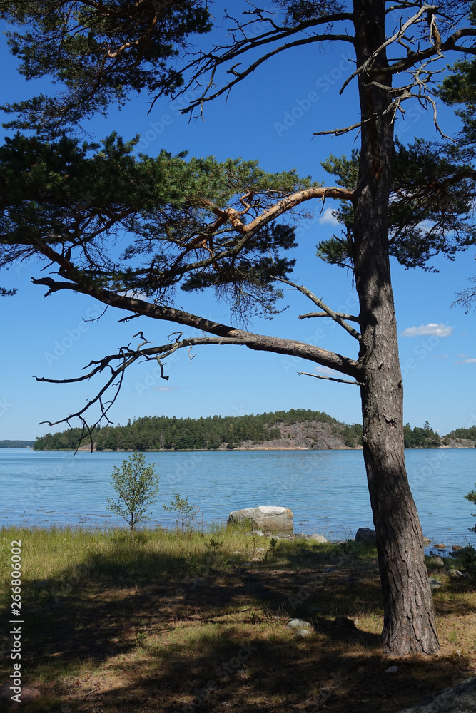 Fototapeta premium Schärenküste bei Stockholm
