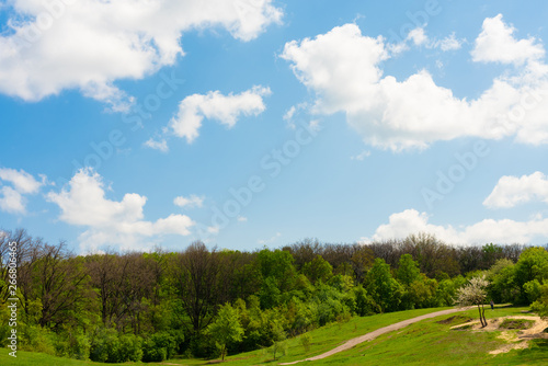 Spring summer background - landscape with beautiful sky, hill, meadow and a line of trees.