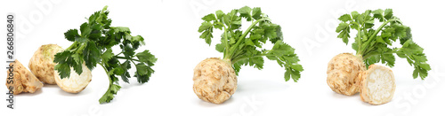 celery root with leaf isolated on white background. Celery isolated on white. Healthy food photo
