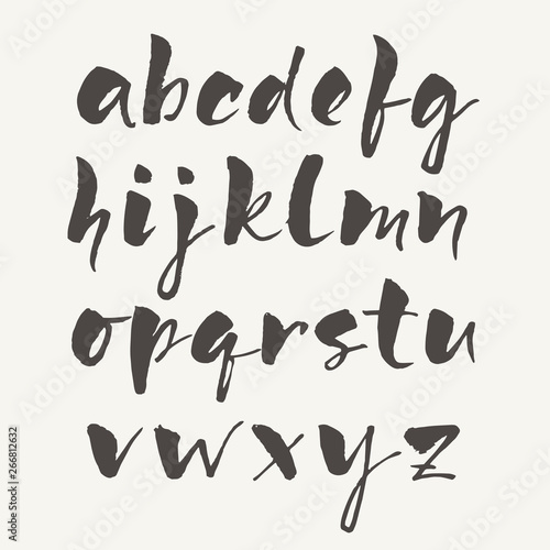 Vector modern calligraphic hand written alphabet set © Valentyna