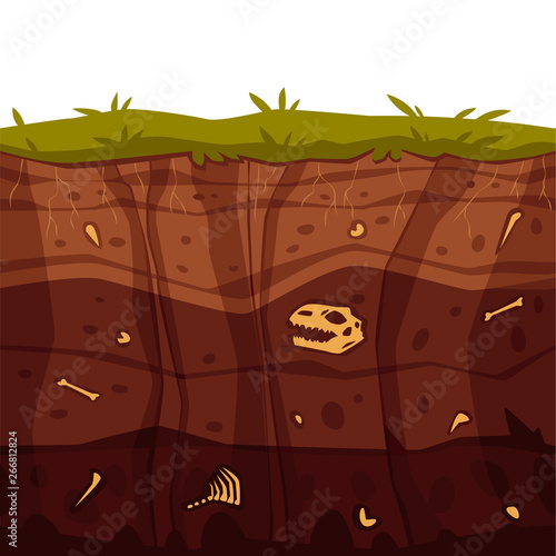 Vector soil ground layers with grass surface