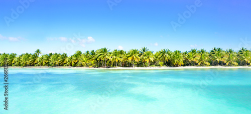 Amazing sandy beach with coconut palm trees and blue sky. Caribbean Sea coast