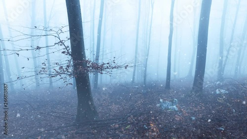 Wallpaper Mural Magic foggy forest during snowfall.  Torontodigital.ca