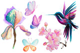 Watercolor hand drawing of a Hummingbird with butterflies, cherry branch and flower iris