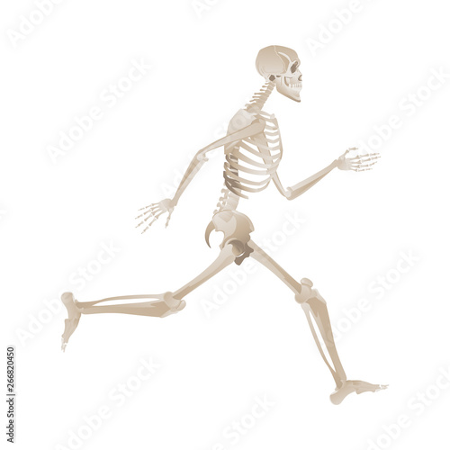 Side view of white skeleton running