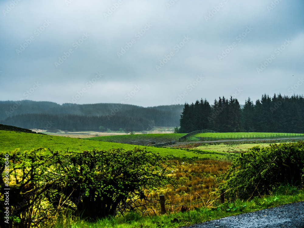 Scotland - Scottish meadow in the Lowlands with very green scenery and big overcast skies.