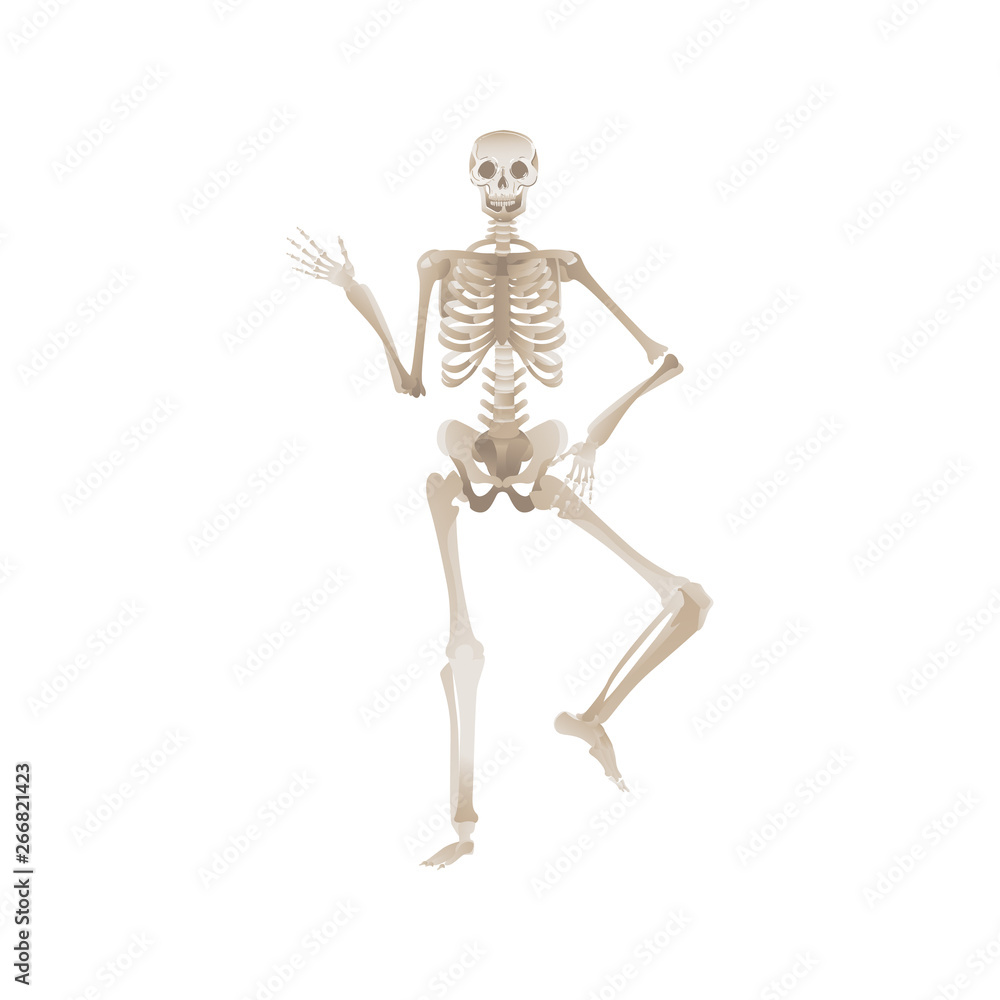 Cheerful skeleton dancing pose for Halloween or other party horror design vector. Cheerful skeleton dancing pose for Halloween or other party horror design vector.