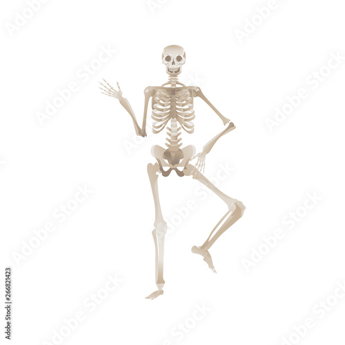 Cheerful skeleton dancing pose for Halloween or other party horror design vector.