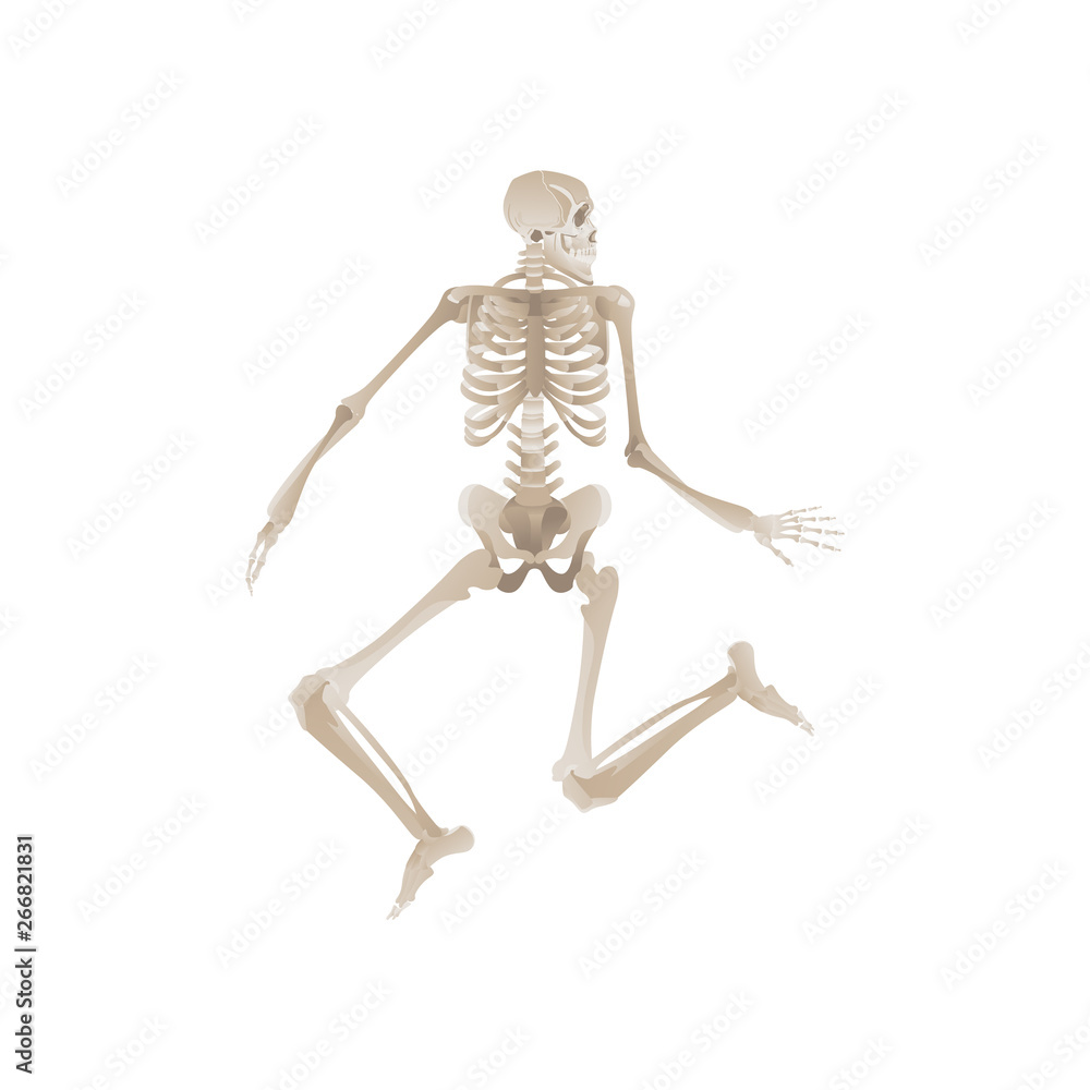 Vector flat funny human skeleton dancing icon Vector flat funny human skeleton dancing icon