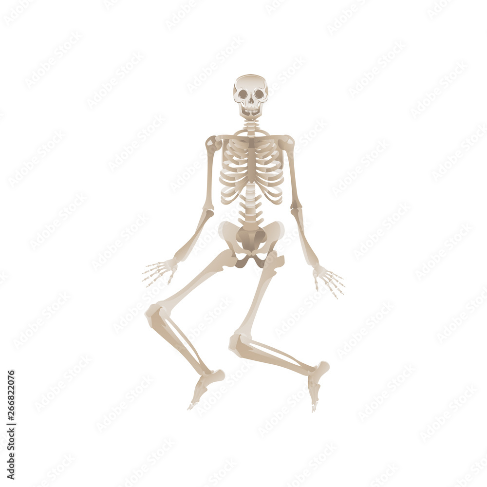 Vector flat funny human skeleton dancing icon Vector flat funny human skeleton dancing icon