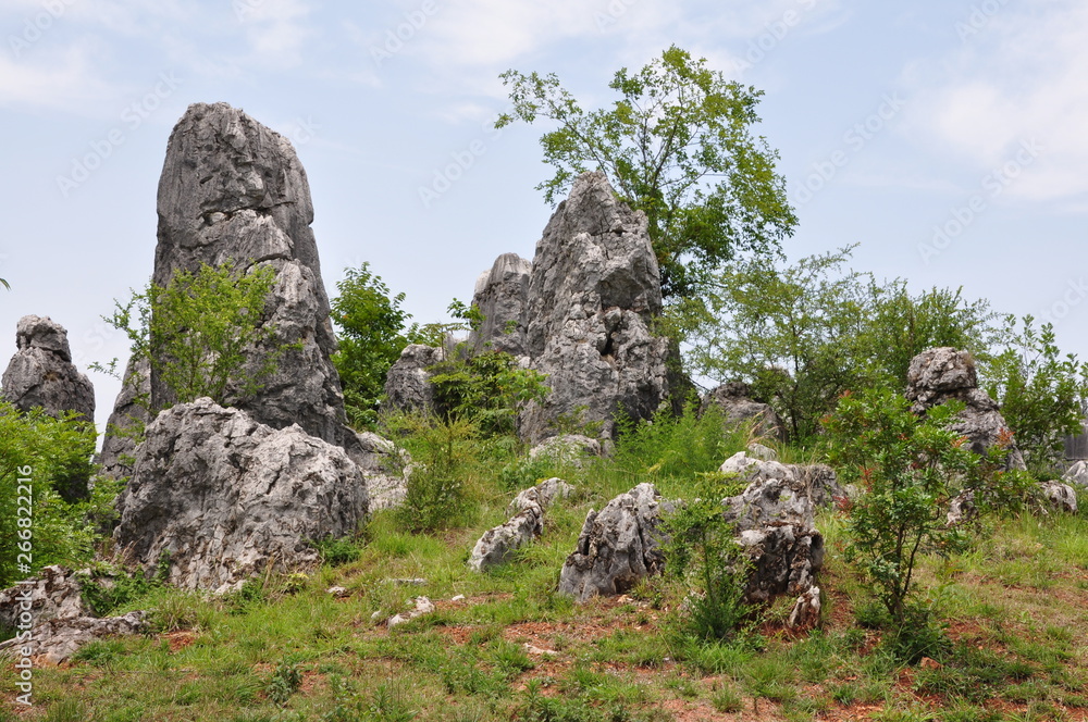 The Stone Forest Park. Shilin, China.