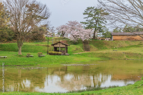 春の秋田城の復元された築地塀